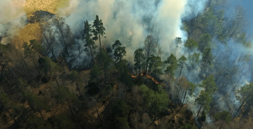 Wildfire Video Thumbnail